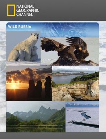 Смотреть фильм Дикая природа России